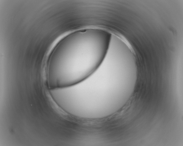 X0000113621148200910161947