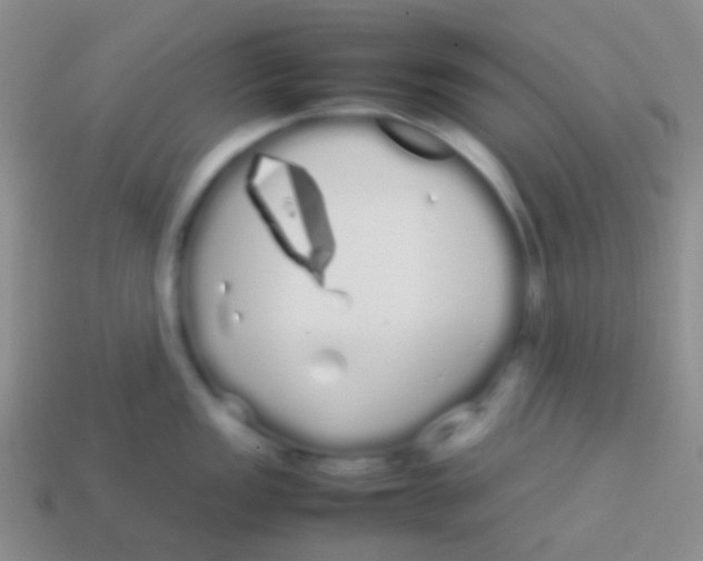 X0000113621149200910161947