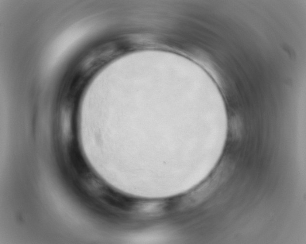 X0000113621150200910161947