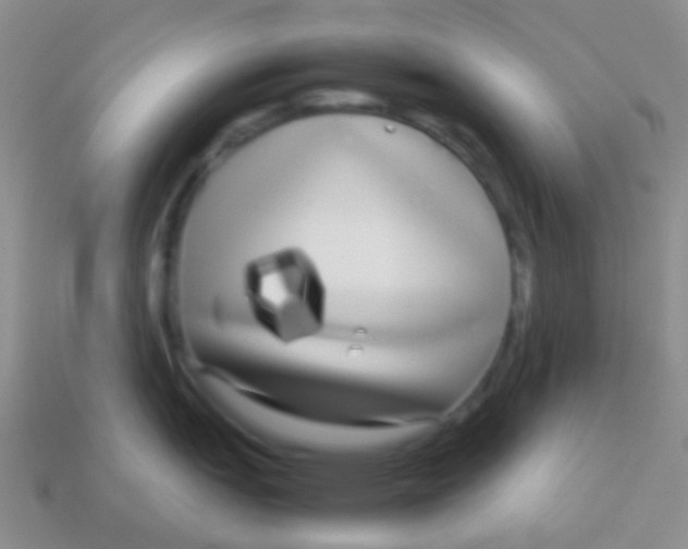 X0000113621151200910161947