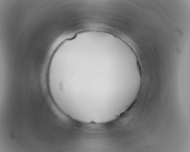 X0000113621152200910161947