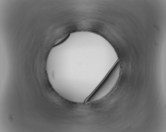 X0000113621153200910161946