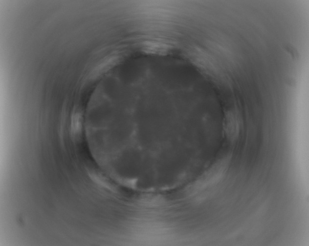 X0000113621154200910161946