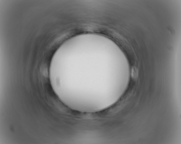 X0000113621155200910161946