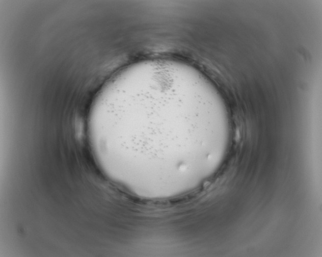 X0000113621156200910161946