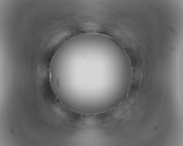 X0000113621157200910161946