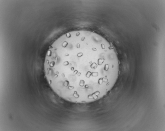 X0000113621158200910161946