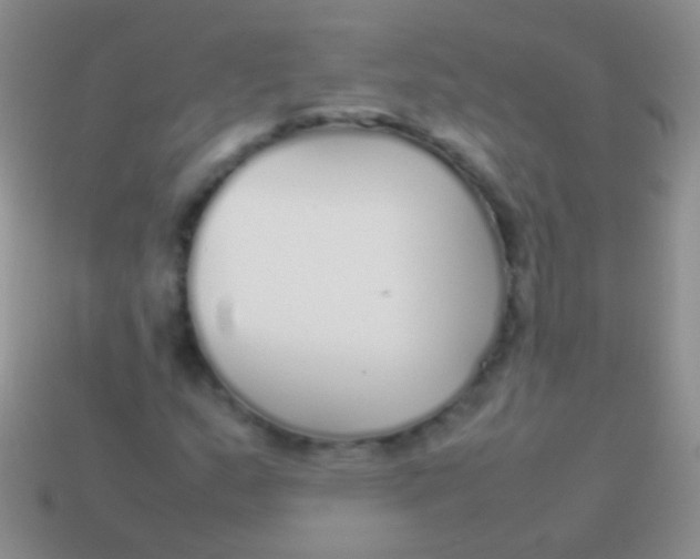 X0000113621159200910161946