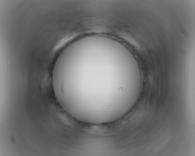 X0000113621160200910161946