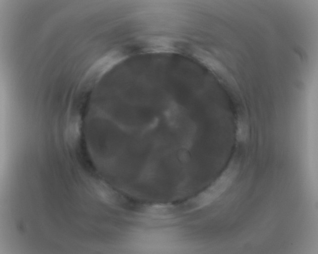 X0000113621161200910161946