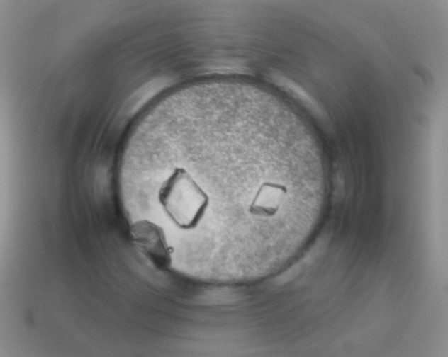 X0000113621162200910161946