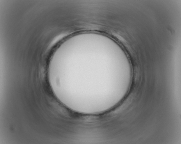 X0000113621163200910161946