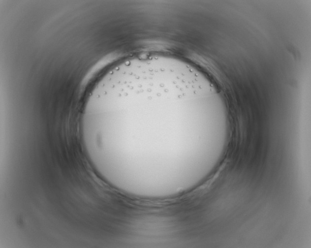 X0000113621164200910161946