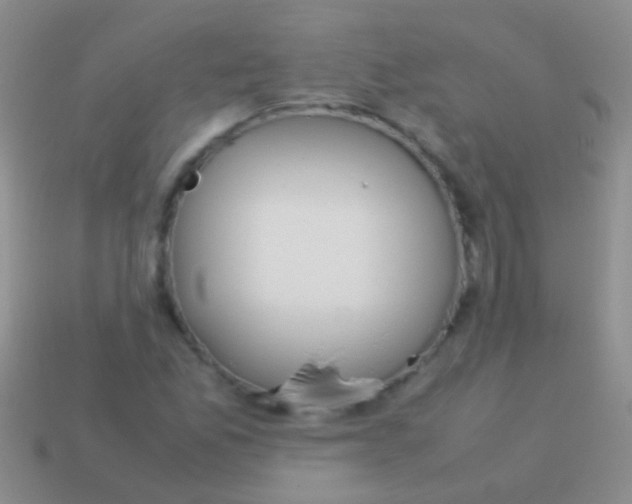 X0000113621165200910161946