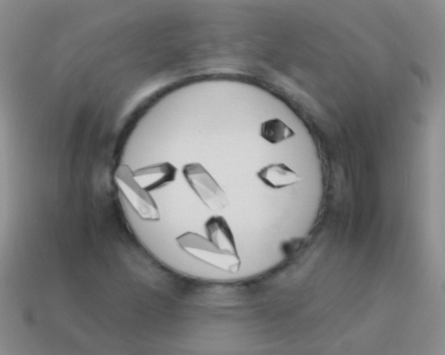 X0000113621166200910161946