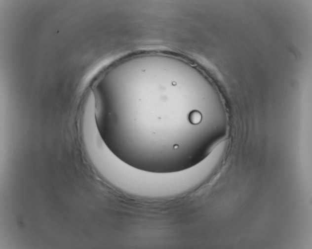 X0000113621167200910161946