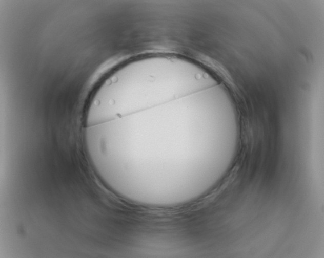 X0000113621168200910161946
