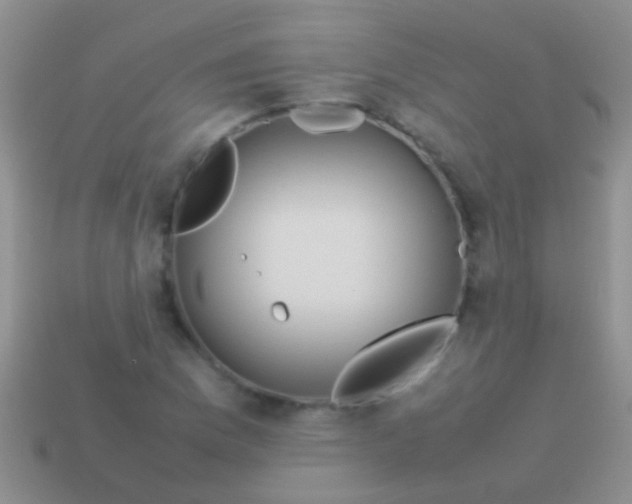 X0000113621169200910161946