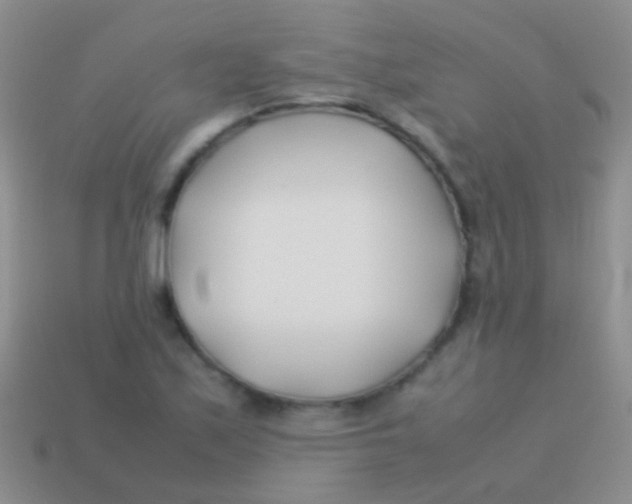 X0000113621171200910161946