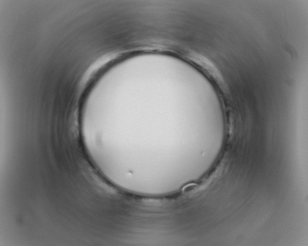 X0000113621172200910161946