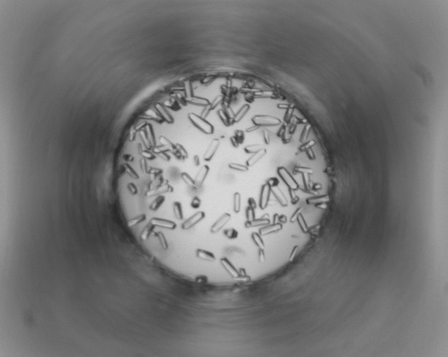 X0000113621174200910161946