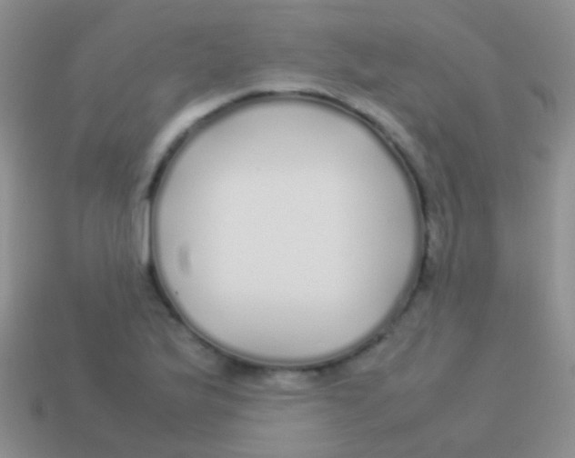 X0000113621175200910161946