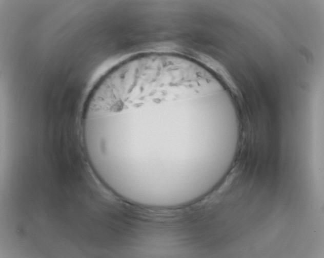 X0000113621176200910161946
