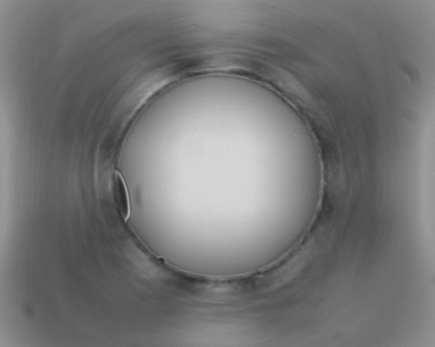 X0000113621177200910161946