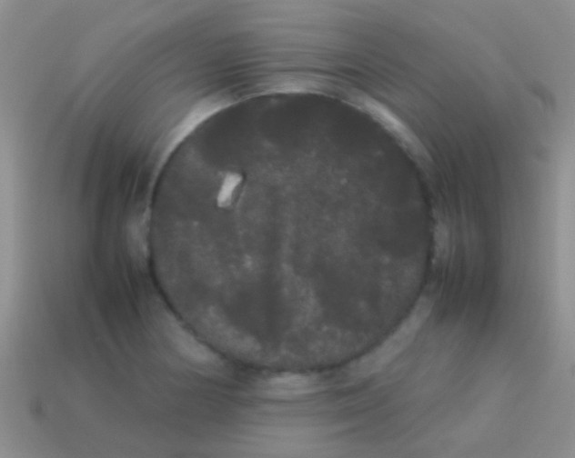X0000113621178200910161946