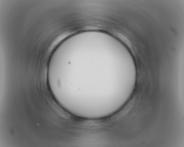 X0000113621179200910161946