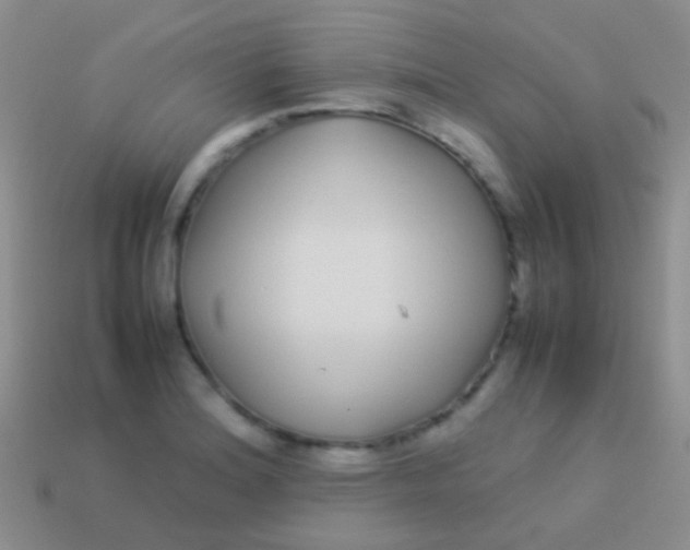 X0000113621180200910161946