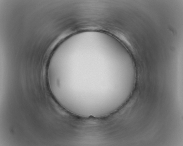 X0000113621181200910161946