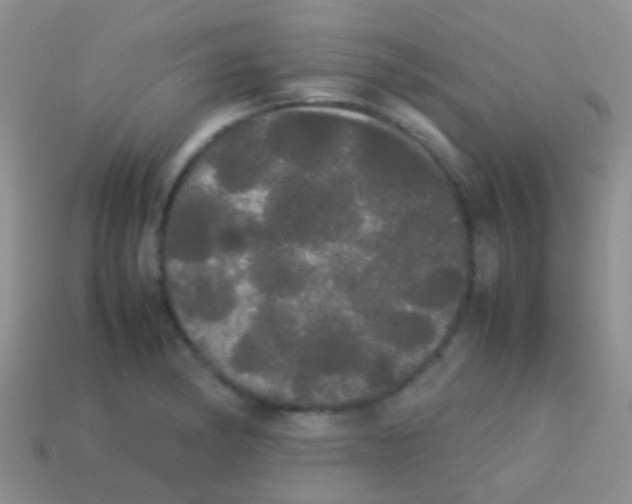 X0000113621182200910161946