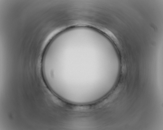 X0000113621183200910161945
