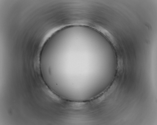 X0000113621184200910161945