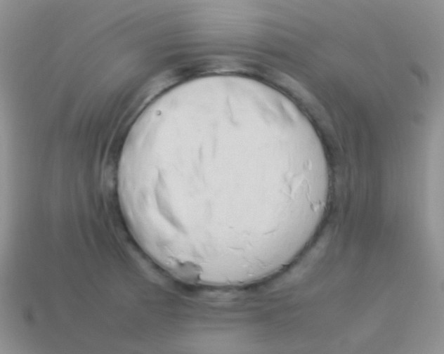 X0000113621185200910161945