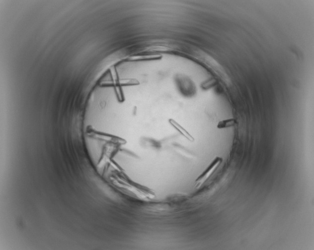 X0000113621186200910161945