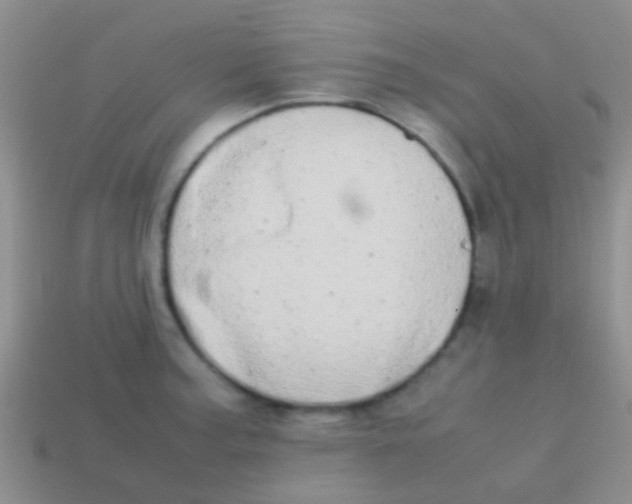 X0000113621187200910161945