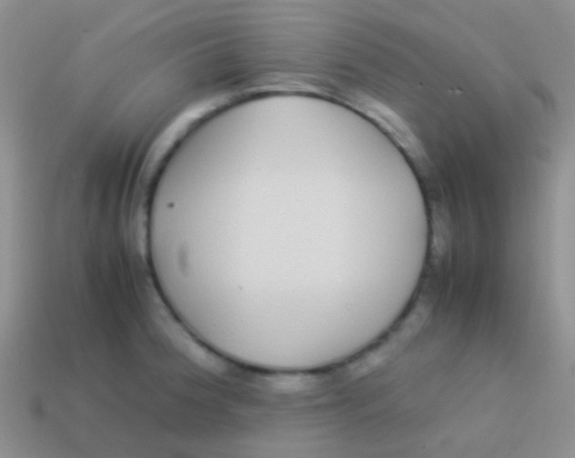 X0000113621188200910161945