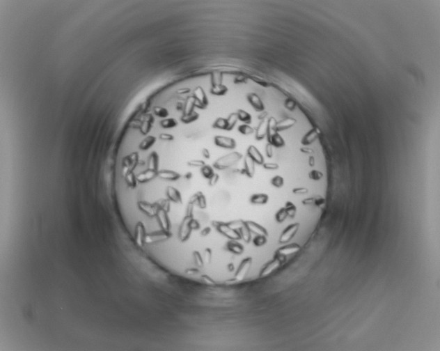 X0000113621190200910161945