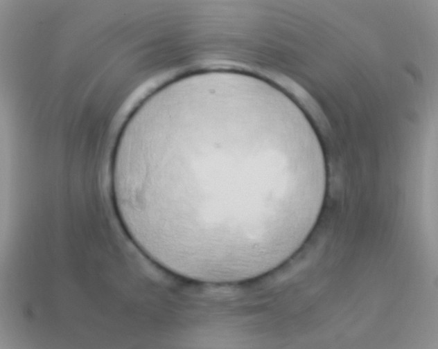 X0000113621191200910161945