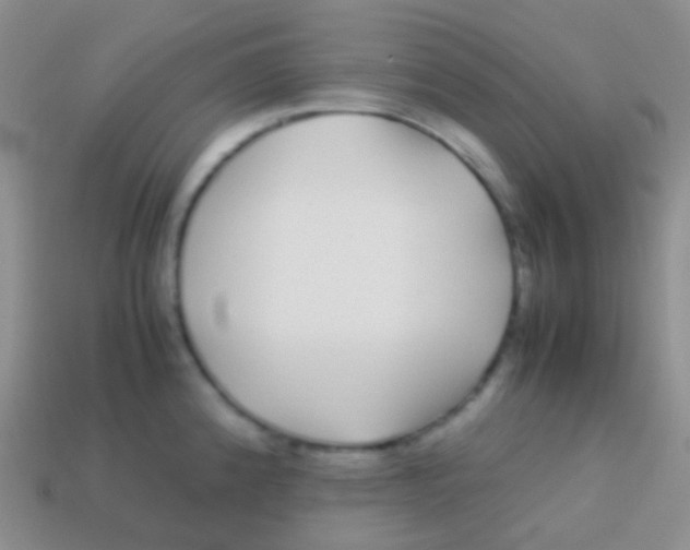 X0000113621192200910161945
