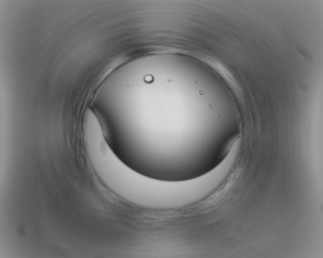 X0000113621193200910161945