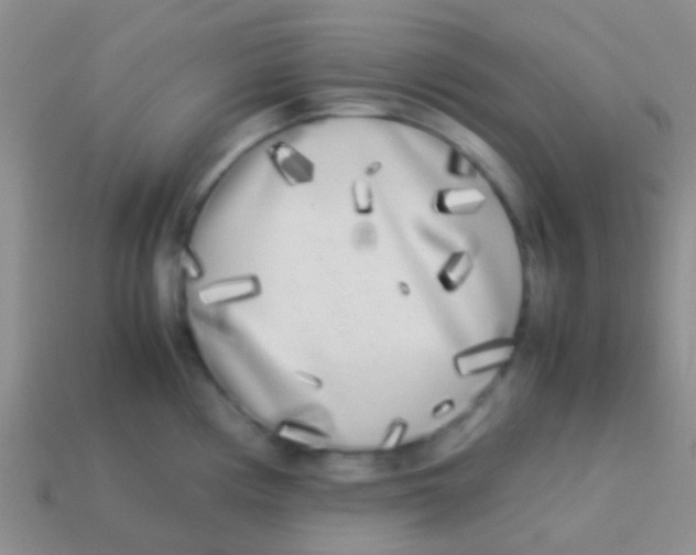 X0000113621194200910161945