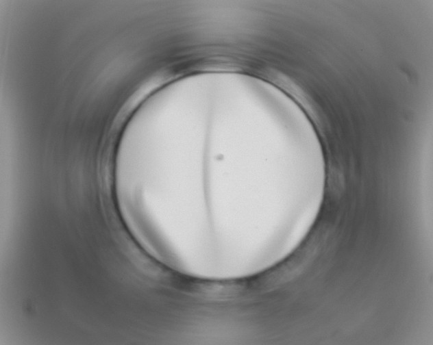 X0000113621195200910161945