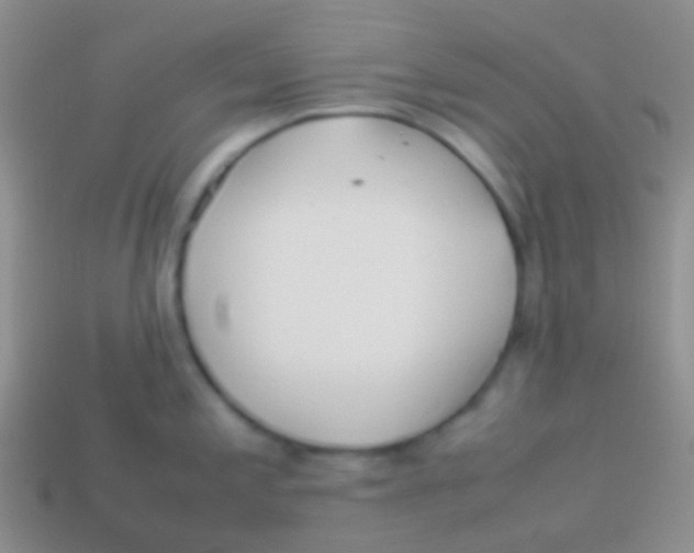 X0000113621197200910161945