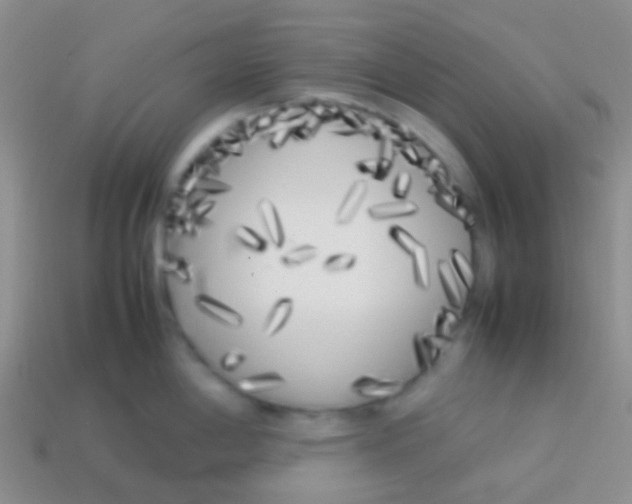 X0000113621198200910161945