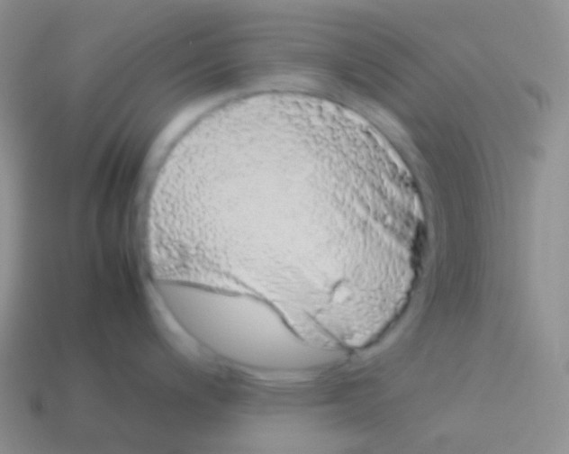 X0000113621200200910161945
