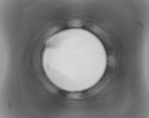 X0000113621201200910161945