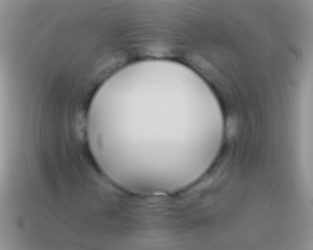 X0000113621202200910161945